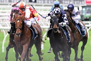 RACING.COM NEWS UPDATE: SPRING PLANS AFOOT